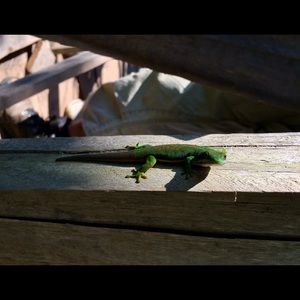 Meet your Posher, Maria